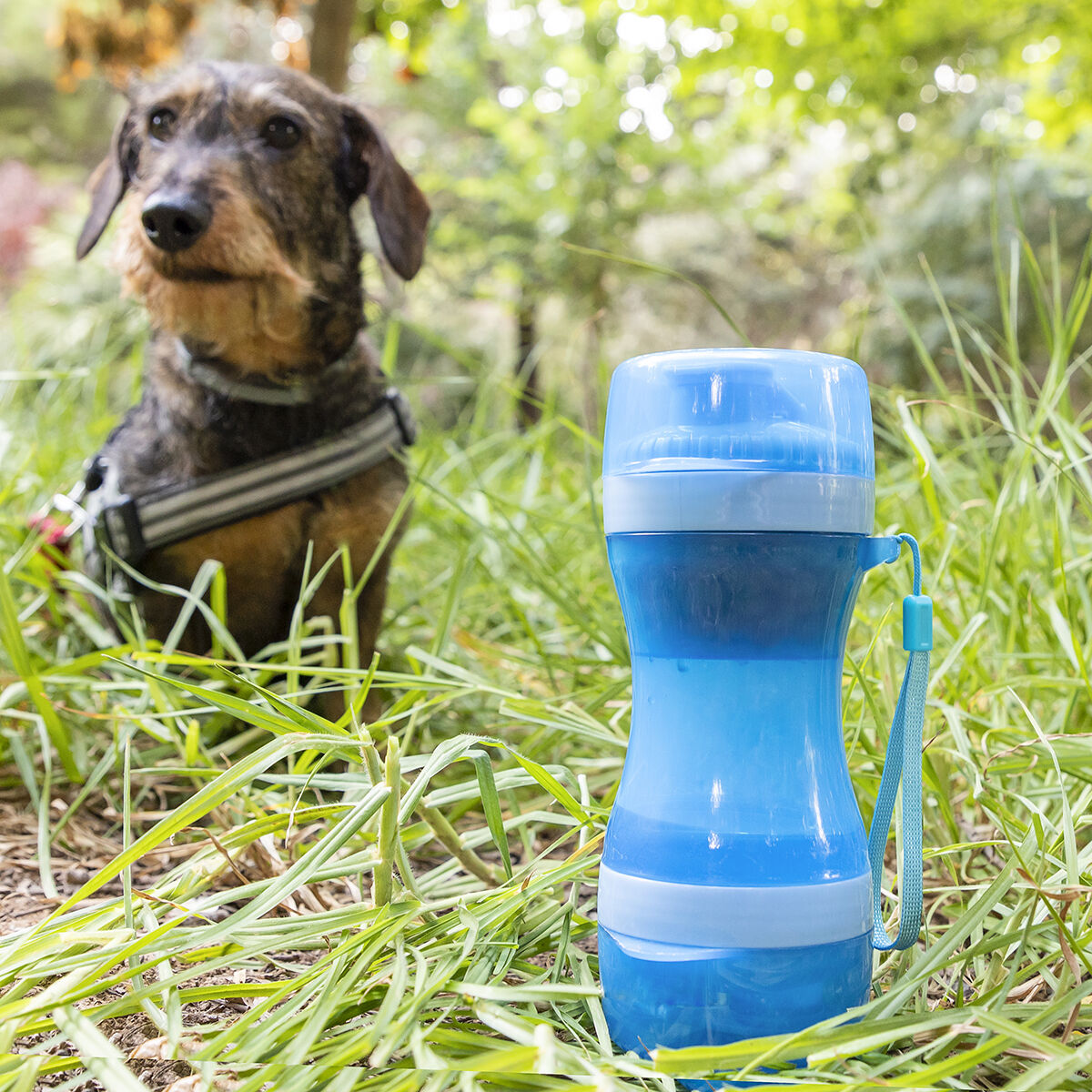 Wasser- und Futterbehälter